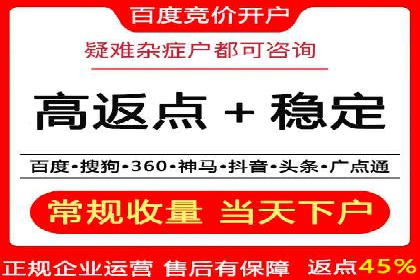 行业标杆：SEM托管公司案例解析